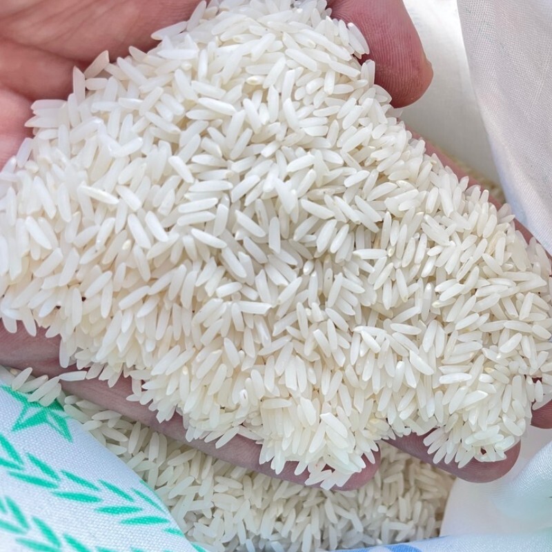 برنج دم سیاه عطری گرگان کشت اول10کیلو(ارسال رایگان)