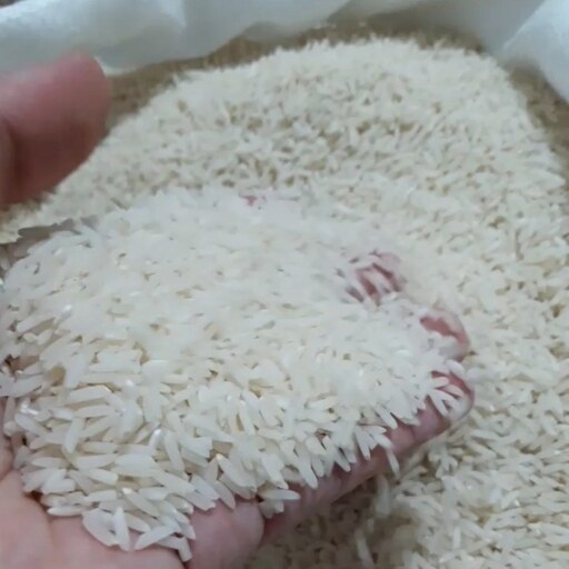 برنج دم سیاه درجه 1، گلستان(ارسال رایگان)