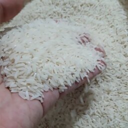 برنج دم سیاه،درجه یک گلستان(ارسال رایگان)