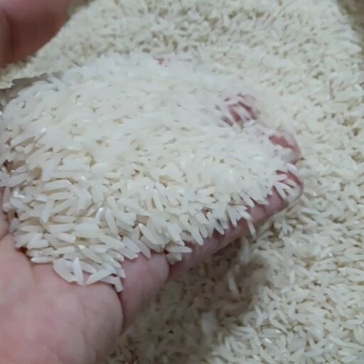 برنج دم سیاه،درجه یک گلستان(ارسال رایگان)