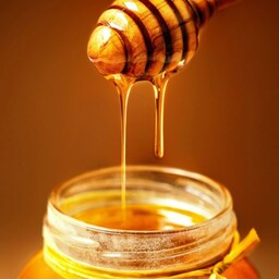 عسل شهد گون بدون شکر یک کیلویی