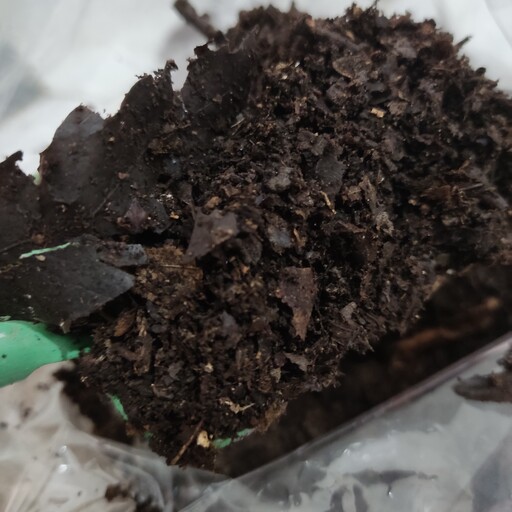 خاک برگ بلوط پوسیده و الک شده و قارچ کش خورده  بسته2کیلویی(ارسال با پست پیشتاز)