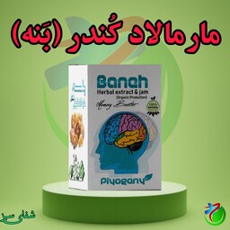 مارمالاد گیاهی کندر (بنه) ریچل بنه پیوژن (تقویت حافظه)