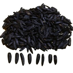 تخمه آفتابگردان سیاه  شمشیری اصل خوی (1  کیلویی)(خرید هر  7 کیلو نیم کیلو هدیه دارد)