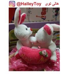 اسباب بازی عروسک پولیشی خرگوش های عاشق ولنتاین وارداتی فروشگاه هالی توی 