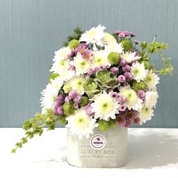 باکس گل مربعی سبز روشن تهیه شده از گل های با درجه کیفیت فوق ممتاز و ممتاز