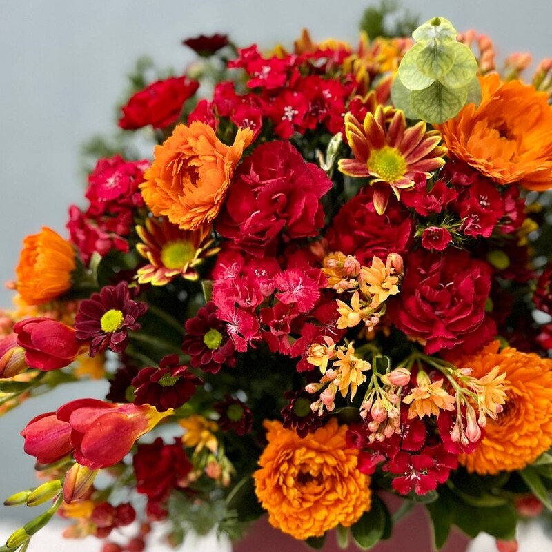 باکس گل گلدانی قرمز تهیه شده از گل های با درجه کیفیت فوق ممتاز و ممتاز