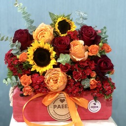 باکس گل مهماتی قرمز  تهیه شده از  گل های درجه کیفیت فوق ممتاز و ممتاز