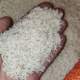 برنج  هاشمی 