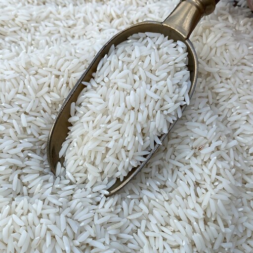 برنج طارم هاشمی کشت دوم ارگانیک فریدونکنار امساله بسته 2 کیلویی 