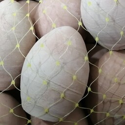 تخم مرغ سفالی خام جهت تزئین و رنگ آمیزی( بسته  100 عددی) هایپر آذین 