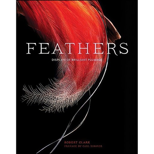 کتاب زبان اصلی Feathers اثر Robert Clark and Carl Zimmer