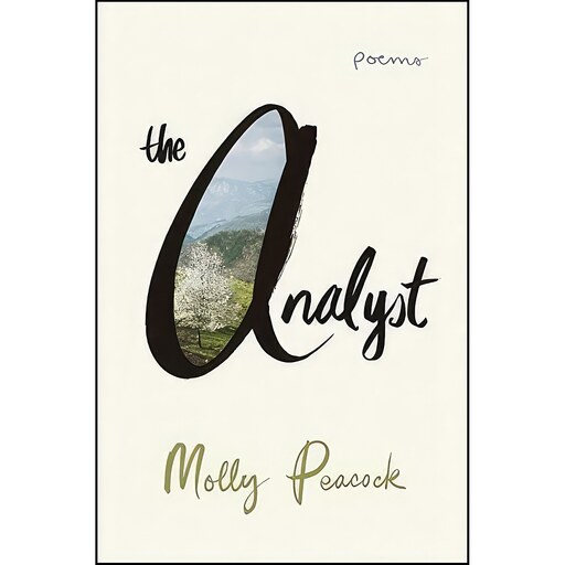 کتاب زبان اصلی The Analyst اثر Molly Peacock