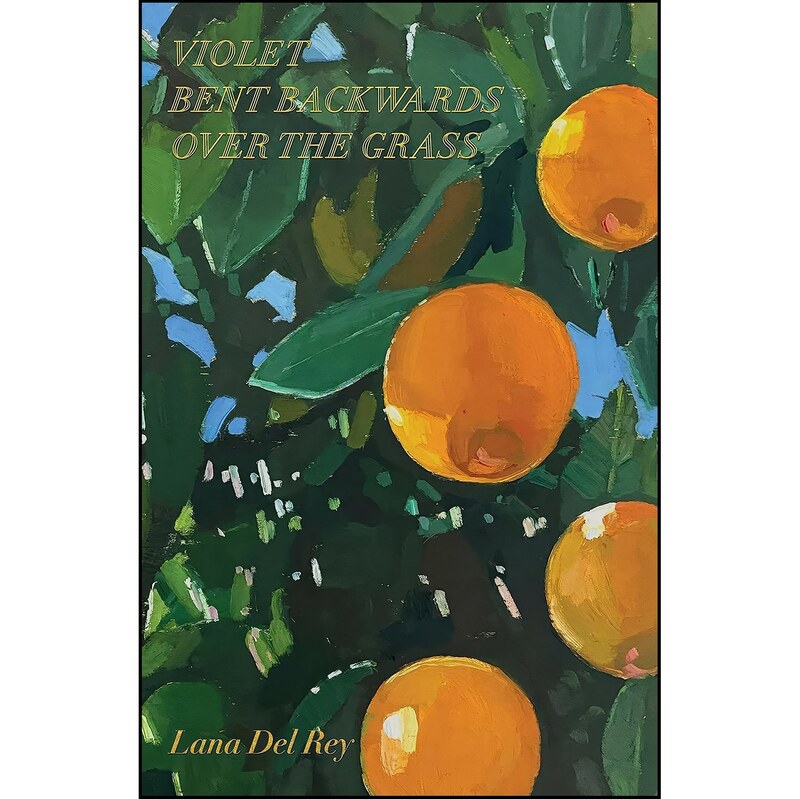کتاب زبان اصلی Violet Bent Backwards Over the Grass اثر Lana Del Rey