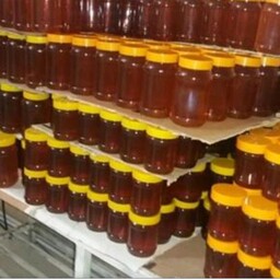 عسل شهد گون طبیعی 10 کیلویی 