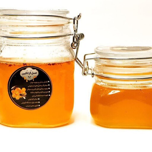 عسل گز انگبین 100درصد خالص ارگانیک ودرمانی یک کیلویی با برگه آزمایشگاه 