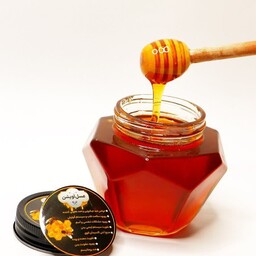 عسل طبیعی آویشن نیم کیلویی 