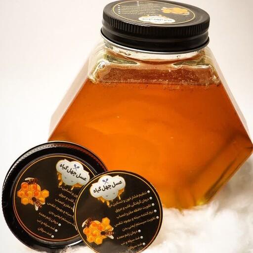 عسل طبیعی چهل گیاه یک کیلویی 