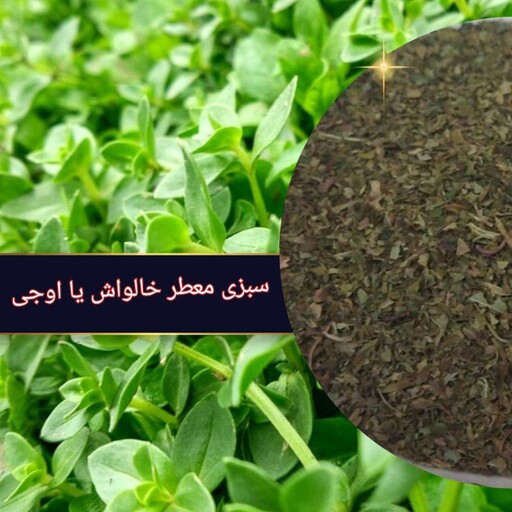 سبزی معطر شمال اوجی یا خالواش یا خالیواش