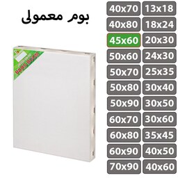 بسته 2 عددی بوم نقاشی معمولی سایز 45 در 60 سانتی متر پارس بوم