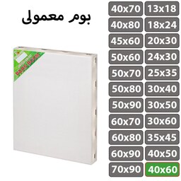 بسته 2 عددی بوم نقاشی معمولی سایز 40 در 60 سانتی متر پارس بوم