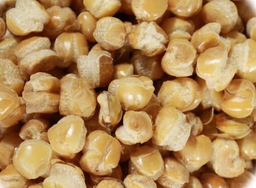 گندمک (گندم شور)