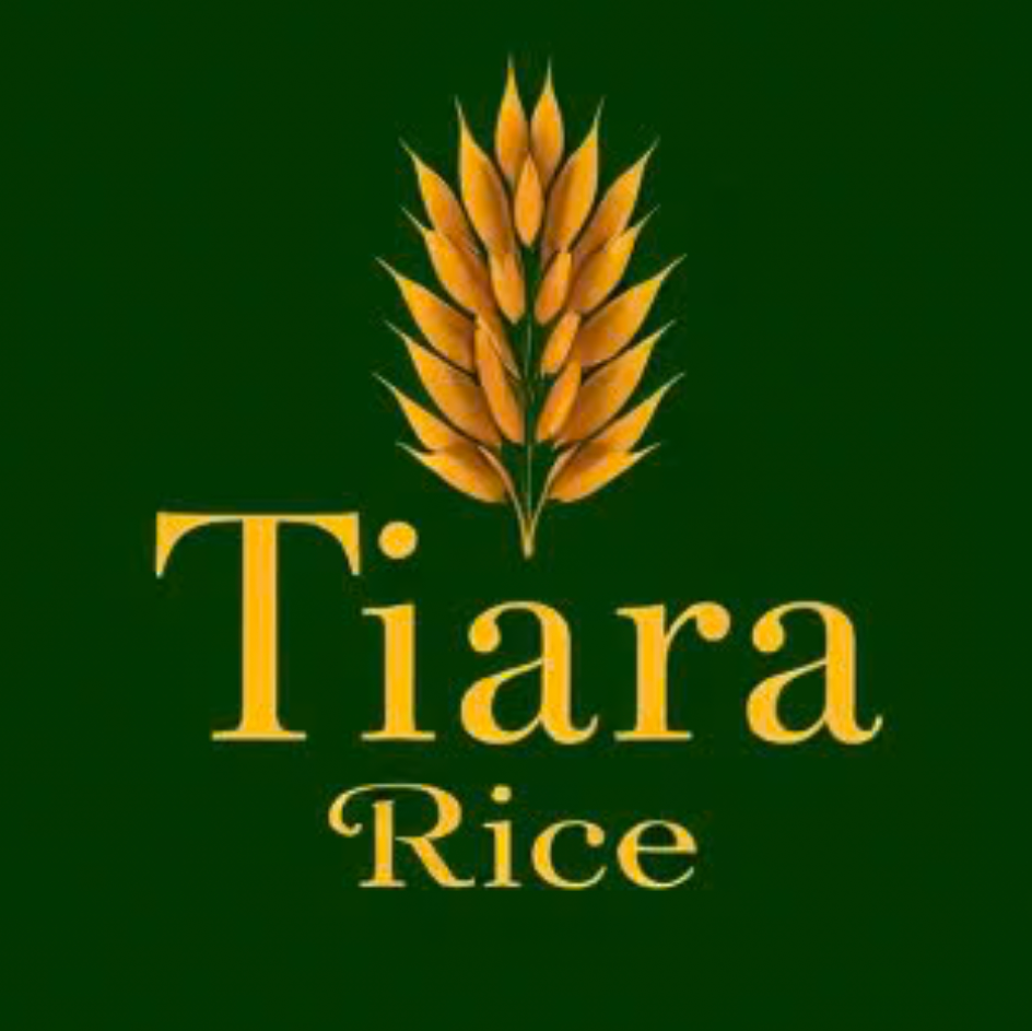 مونا مقدسی 