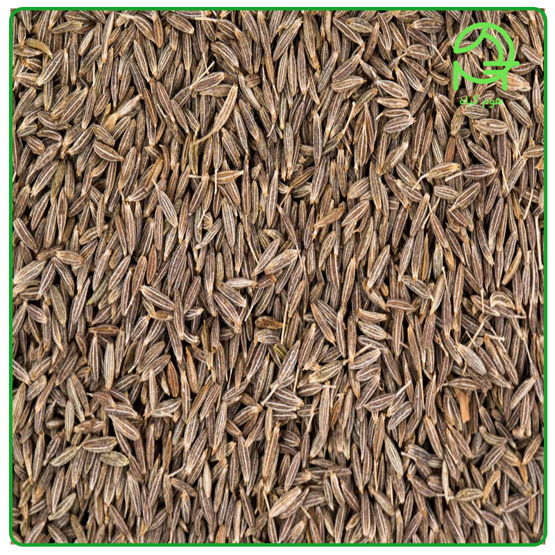 زیره سیاه 100 گرمی اعلاء