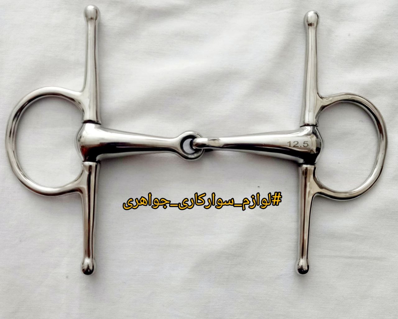 دهنه شاخدار خارجی ماهیچه کلفت