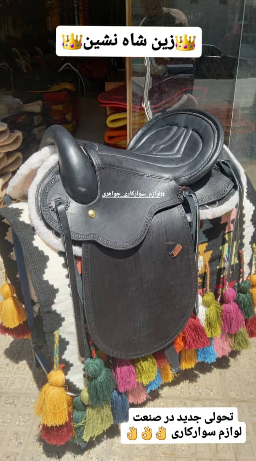 زین شاه نشین