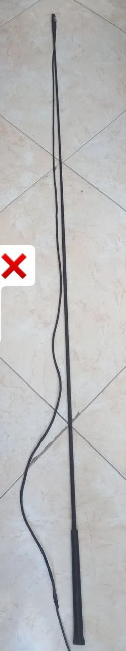 شلاق لنژ خارجی