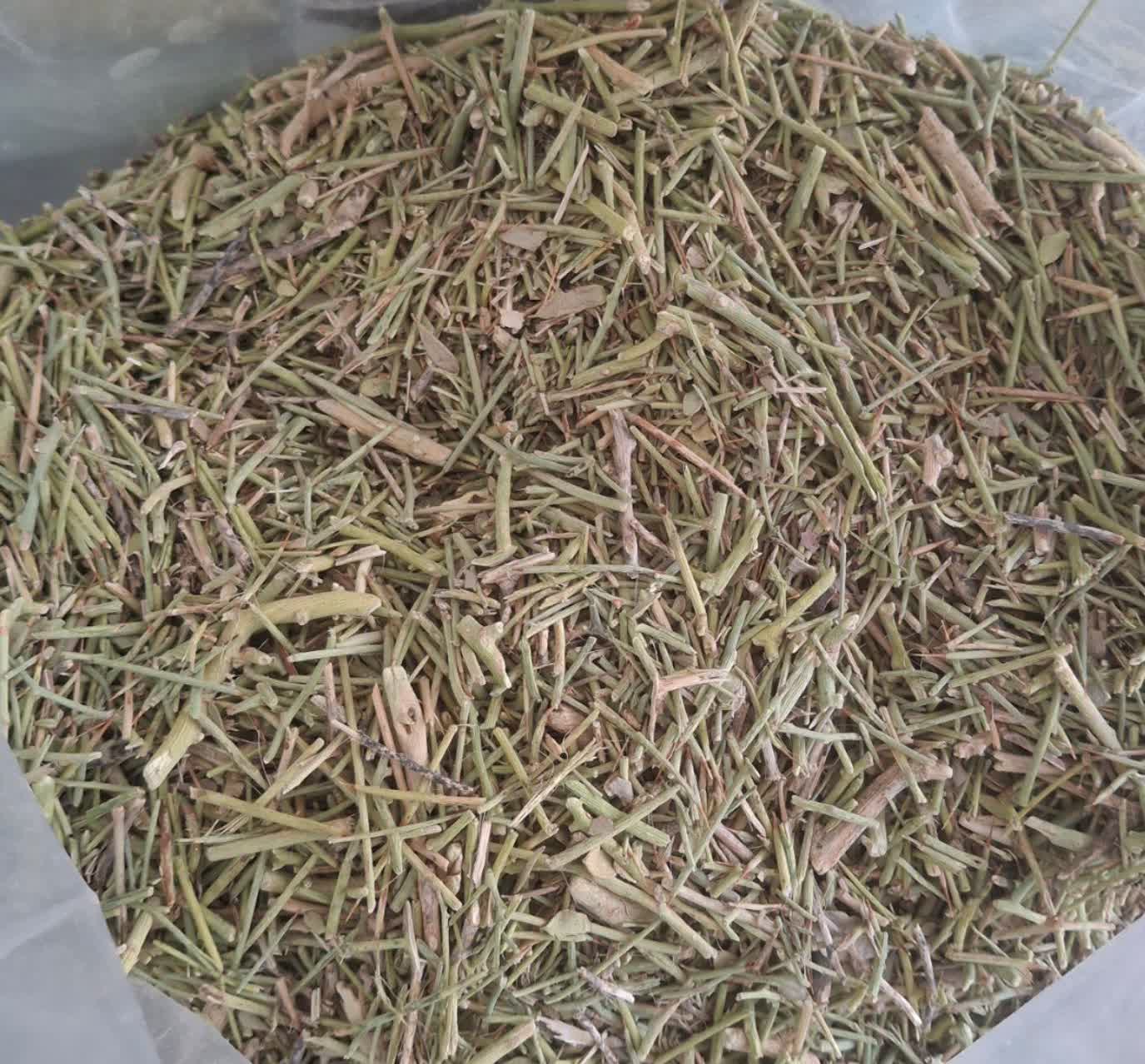 خار شتر خشک فله