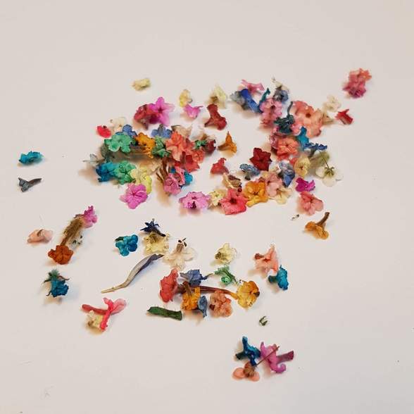 شکوفه درختی رنگی 