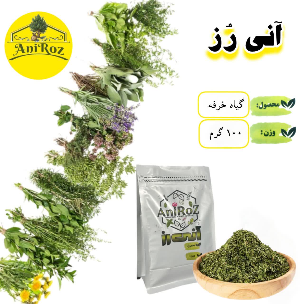 گیاه خرفه سبزی خوراکی اعلا 100 گرمی آنی رز