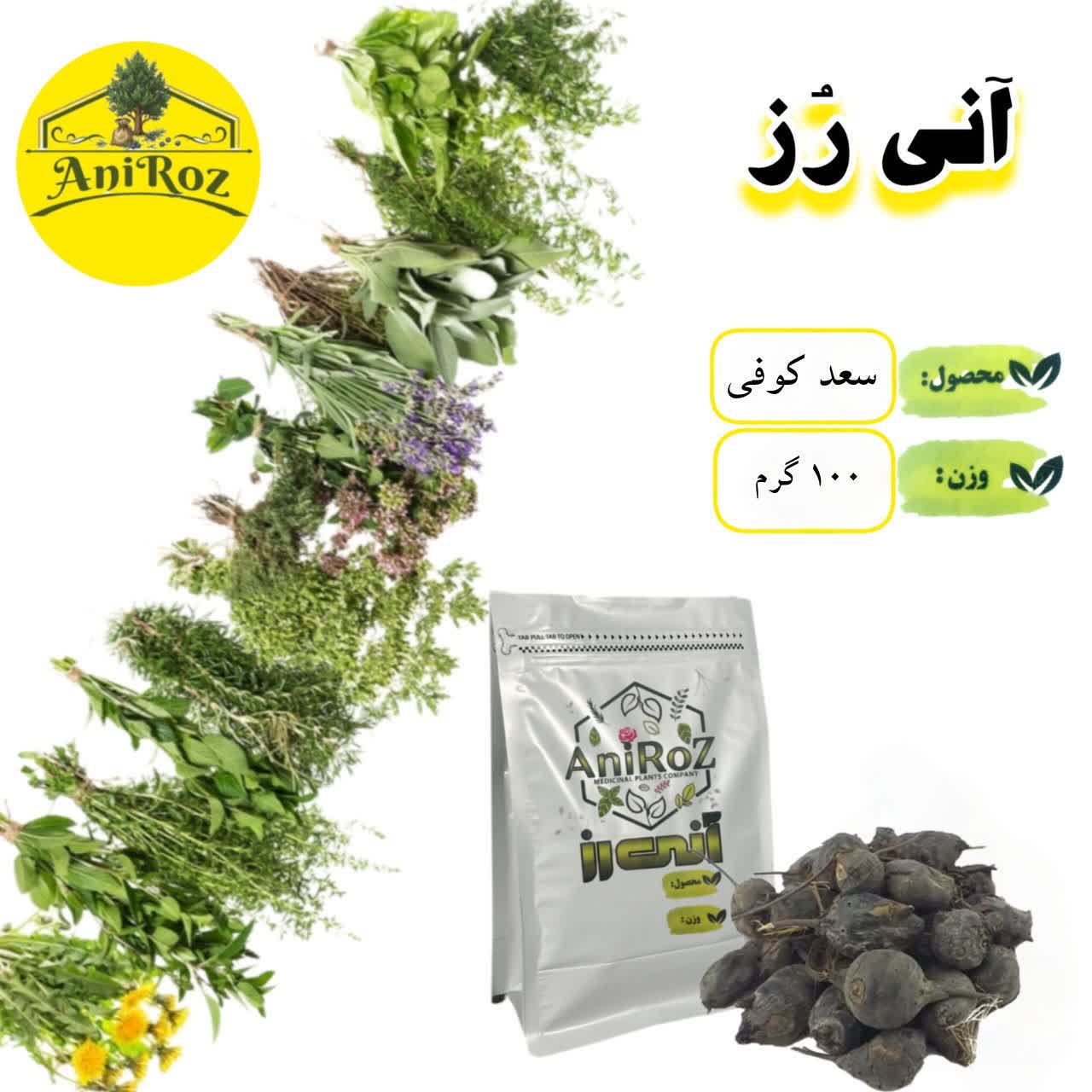 گیاه سعد کوفی مرغوب 250 گرمی آنی رز