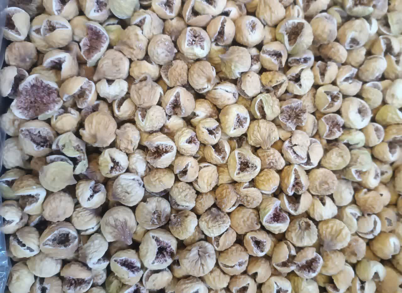 انجیر استهبان درشت پرک