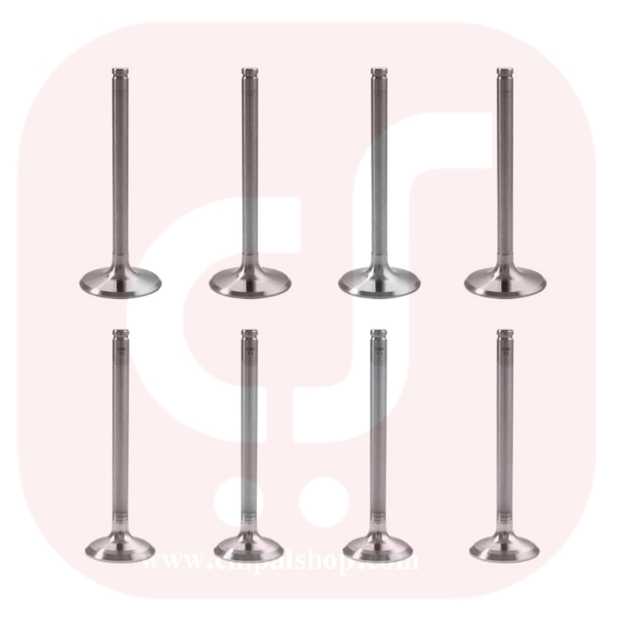 ست سوپاپ دود و هوا (پژو 405،سمند،پرشیا)