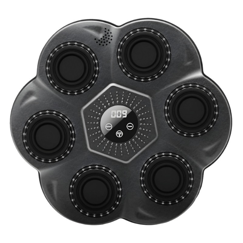 کیسه بوکس مدل موزیکال کد FAST PRO