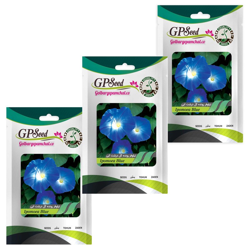 بذر گل نیلوفر رونده گل درشت آبی گلبرگ پامچال مدل A10 مجموعه 3 عددی