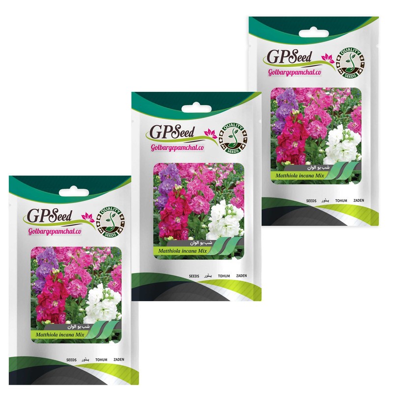 بذر گل شب بو  الوان گلبرگ پامچال کد GPF-058 مجموعه 3 عددی