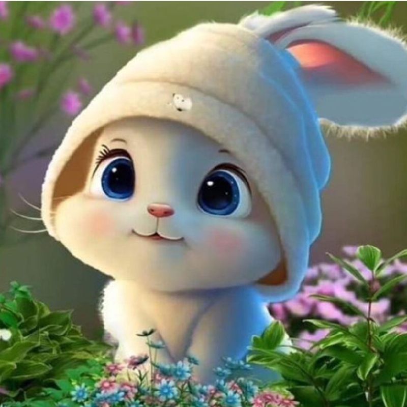 🇮🇷نگار🇮🇷