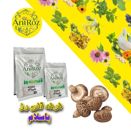 شیتاکه قارچ مرغوب 100 گرمی آنی رز