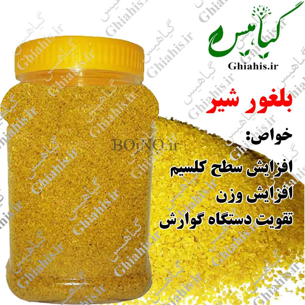 بلغورشیر گاوی