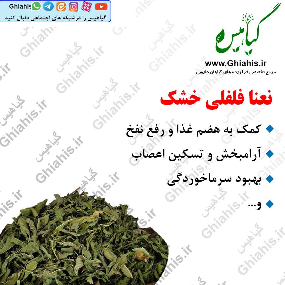 نعنا فلفلی خشک 100گرمی