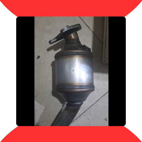 کاتالیزور دنا تربو مغزی چینی