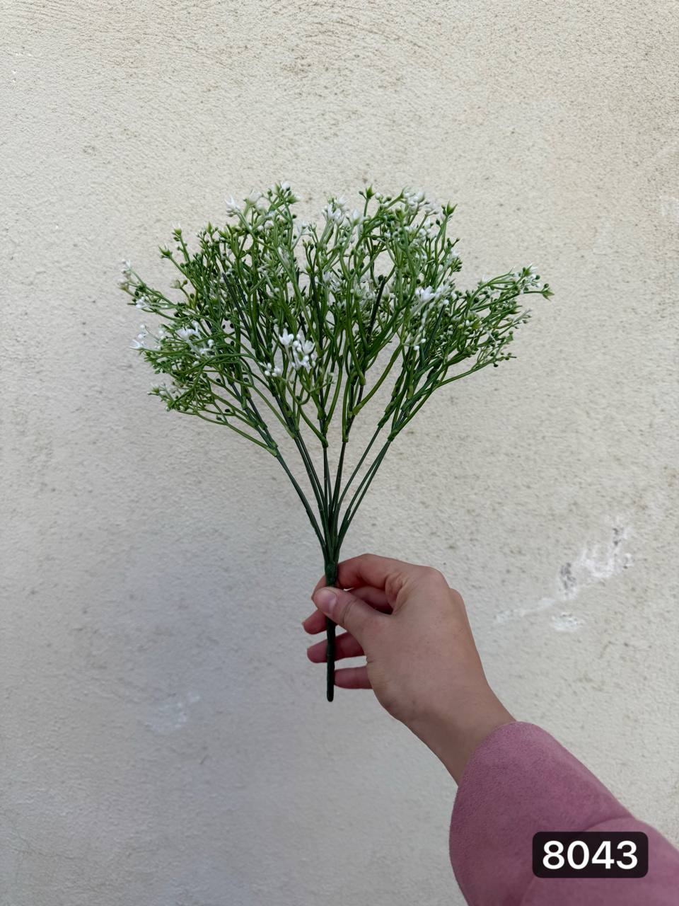 بوته شکوفه کبریتی 12 بازو