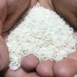 برنج طارم هاشمی درجه 1 مازندران 