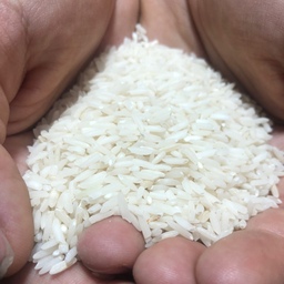 برنج طارم هاشمی درجه یک مازندران 