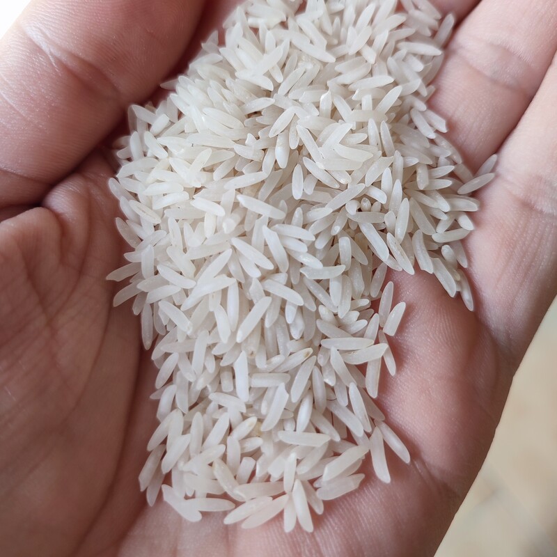 برنج فجر درجه یک گونی 10 کیلویی ارسال رایگان