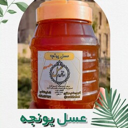 عسل تک گل یونجه، طبیعی خام و حرارت ندیده(یه کیلویی)، ویژه کودک 